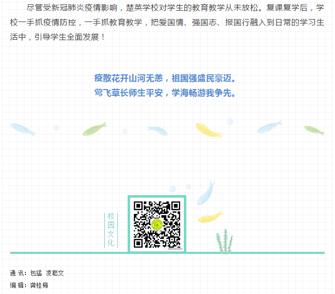 娄底教育,娄底英语培训,娄底民办教育,娄底市楚英学校,楚英学校