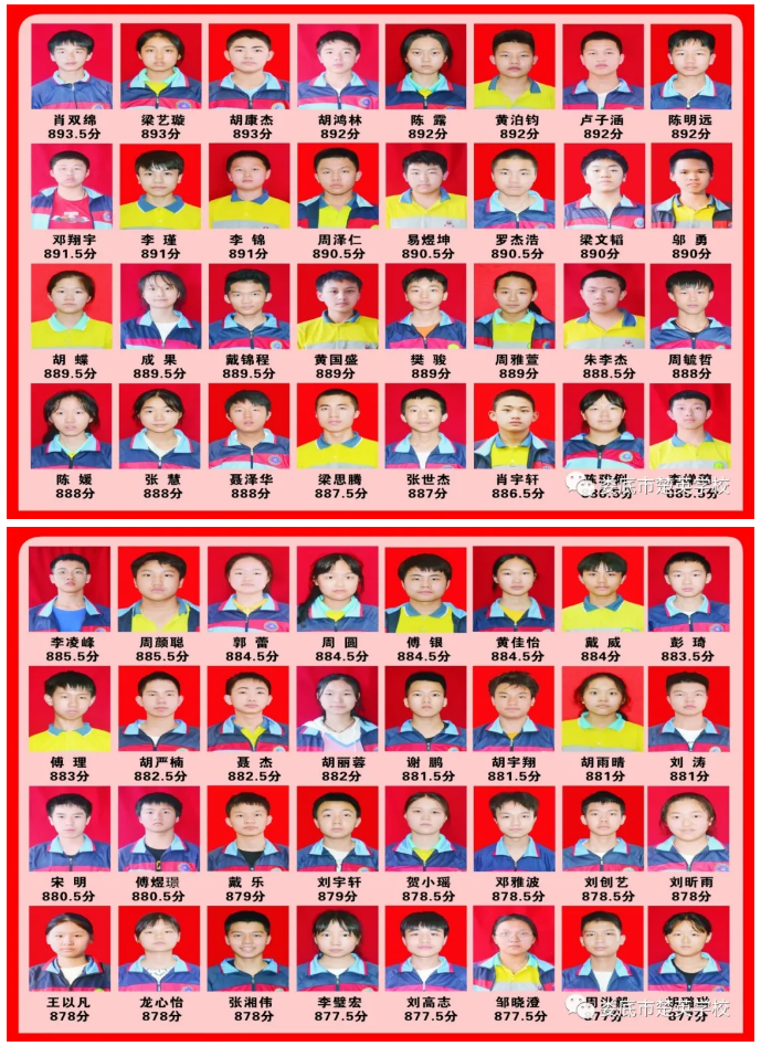娄底教育,娄底英语培训,娄底民办教育,娄底市楚英学校,楚英学校