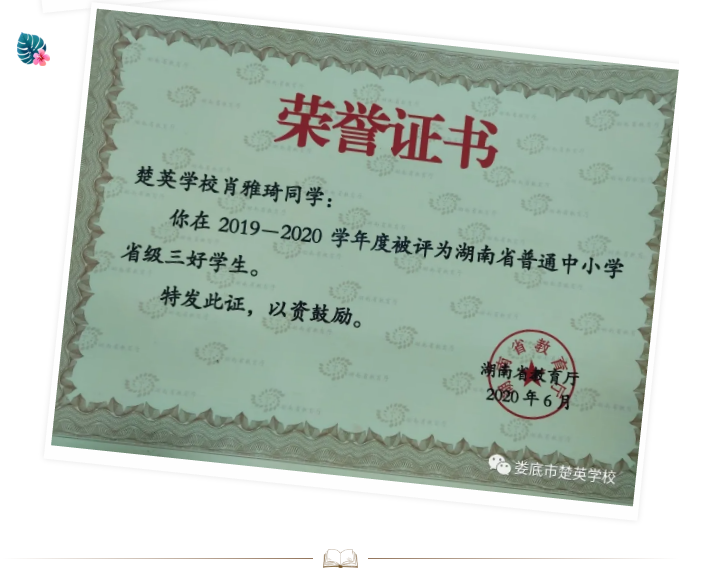 娄底教育,娄底英语培训,娄底民办教育,娄底市楚英学校,楚英学校