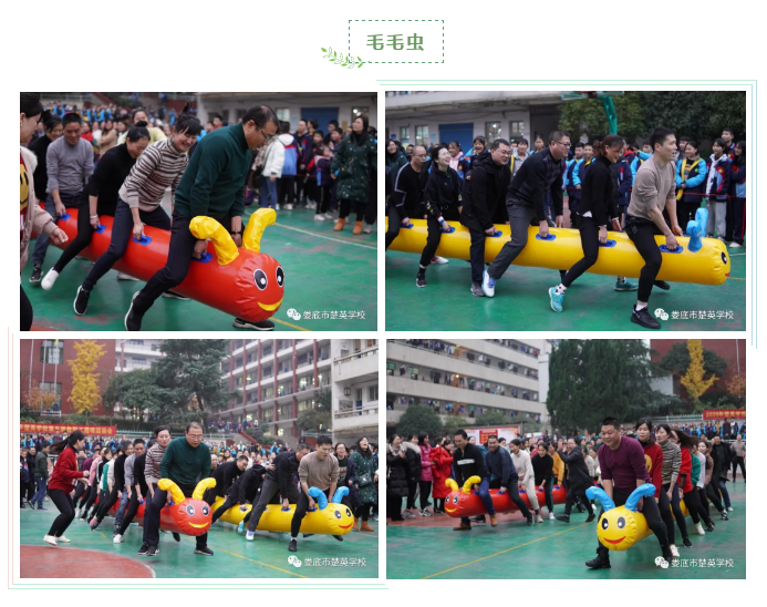 娄底教育,娄底英语培训,娄底民办教育,娄底市楚英学校,楚英学校