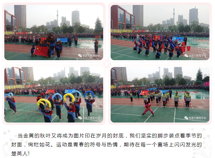 娄底教育,娄底英语培训,娄底民办教育,娄底市楚英学校,楚英学校