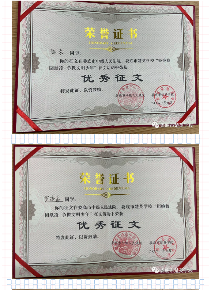 娄底教育,娄底英语培训,娄底民办教育,娄底市楚英学校,楚英学校